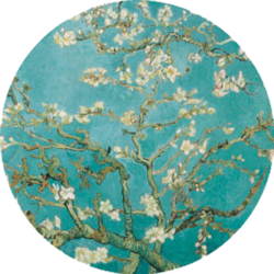 van Gogh, Mandelblüte, 06