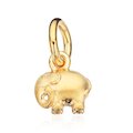Wish Anhänger Elefant, vergoldet